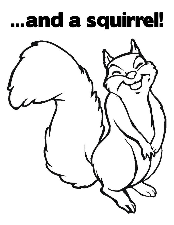 Free printable Squirrel coloring page #6272 from Animals collection