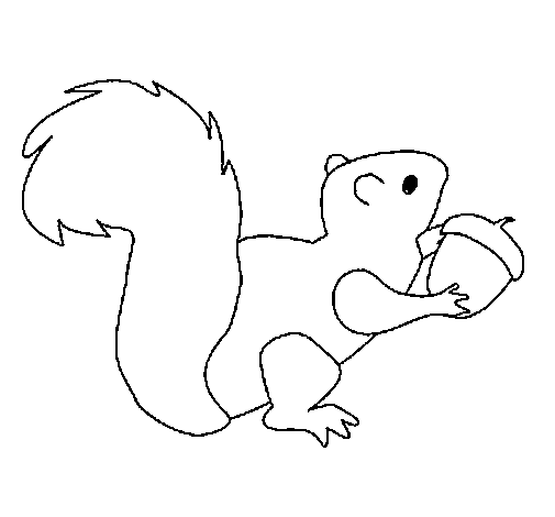 Free printable Squirrel coloring page #6281 from Animals collection