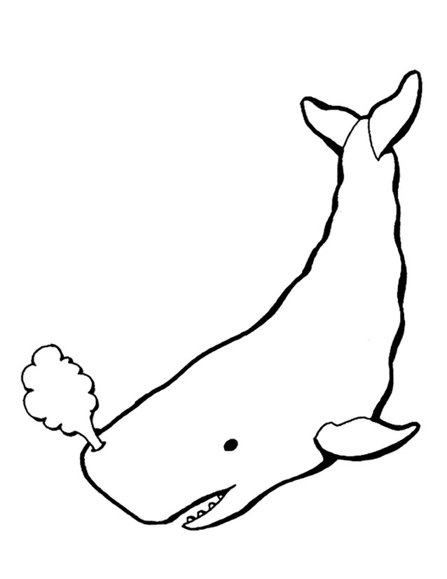 Free printable Whale coloring page #896 from Animals collection