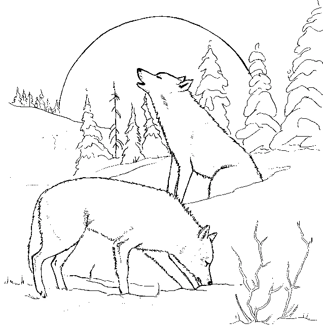 Free printable Wolf coloring page #10439 from Animals collection