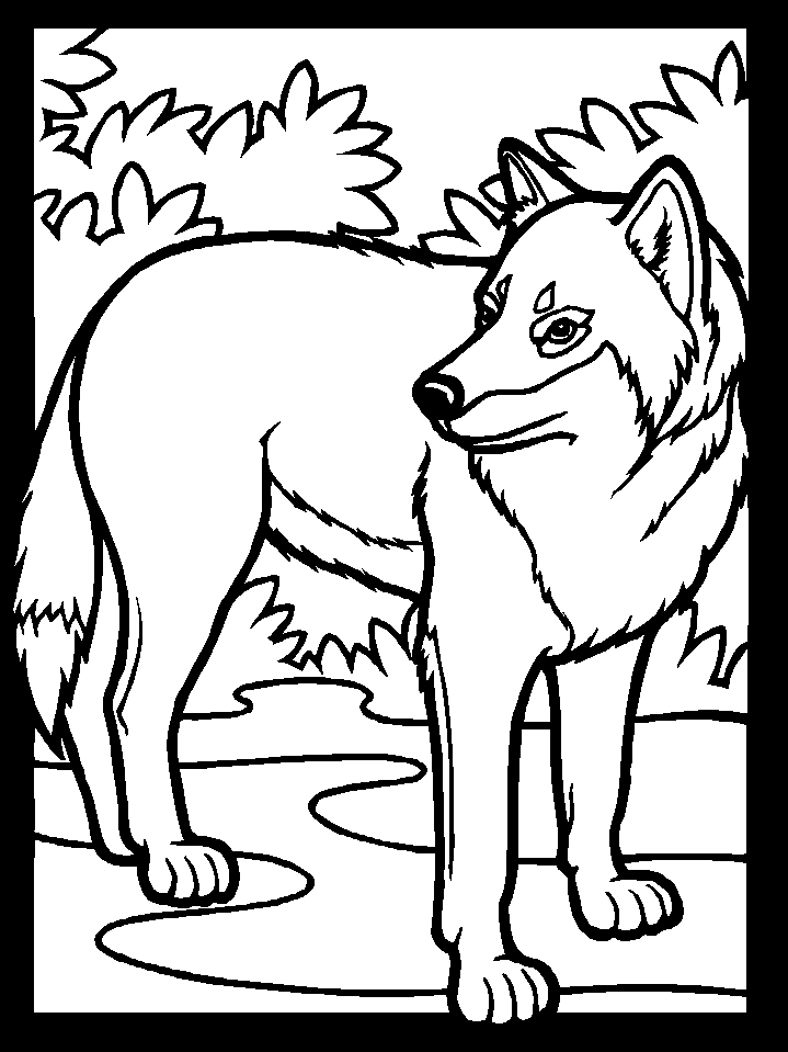 Free printable Wolf coloring page #10440 from Animals collection