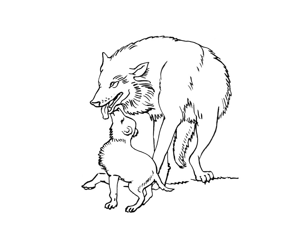Free printable Wolf coloring page #10445 from Animals collection