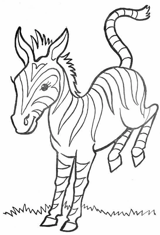 Free printable Zebra coloring page #13105 from Animals collection