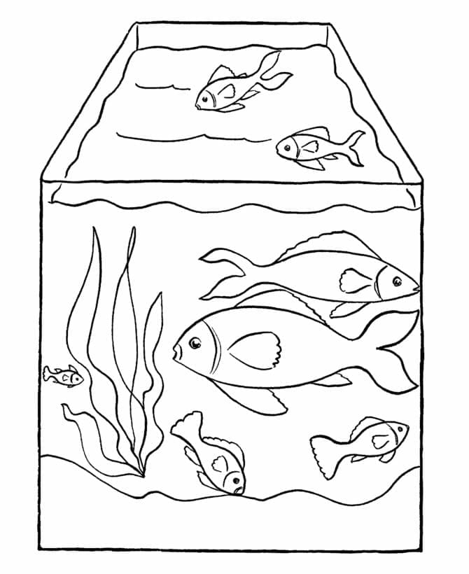 Free printable Aquarium coloring page #184551 from Objects collection