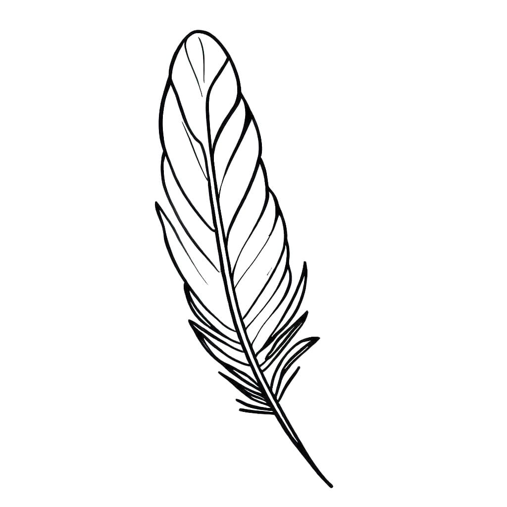 Free printable Feather coloring page #212614 from Objects collection