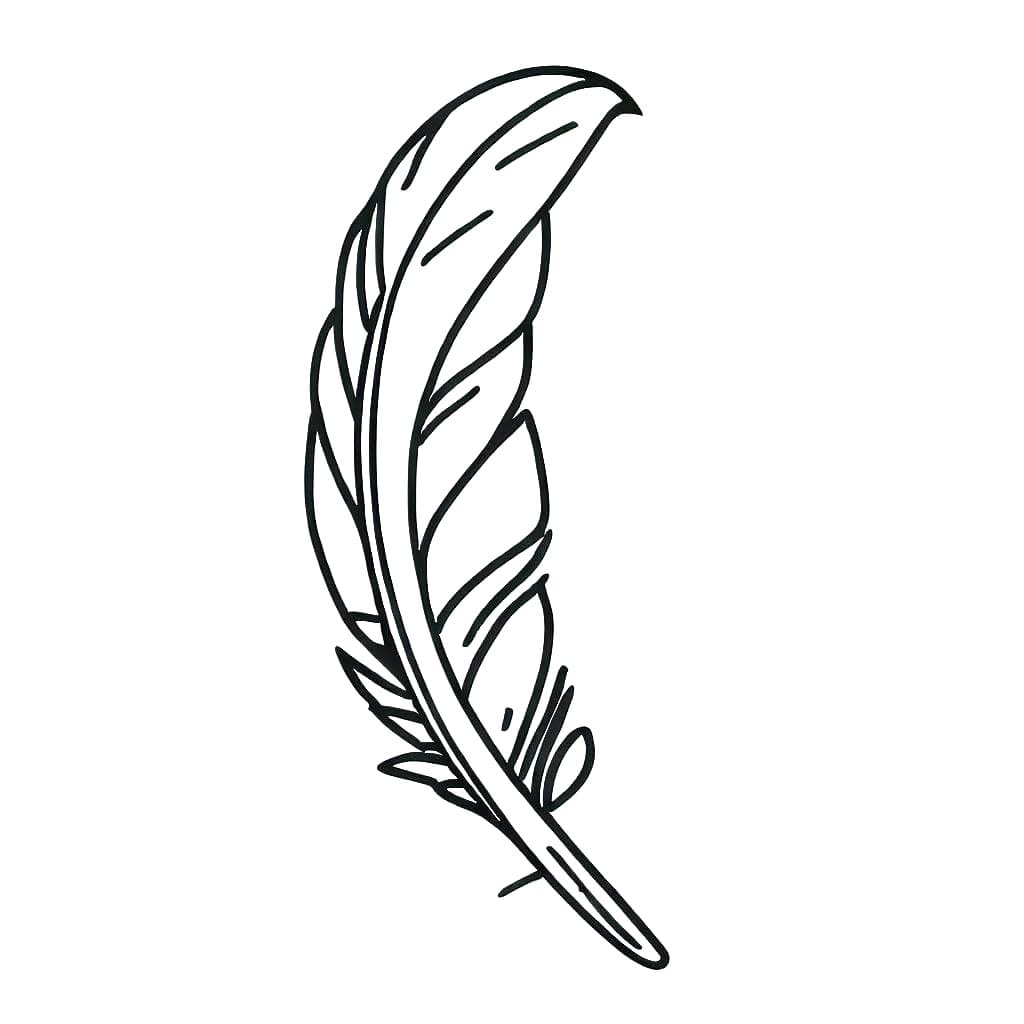 Free printable Feather coloring page #212628 from Objects collection
