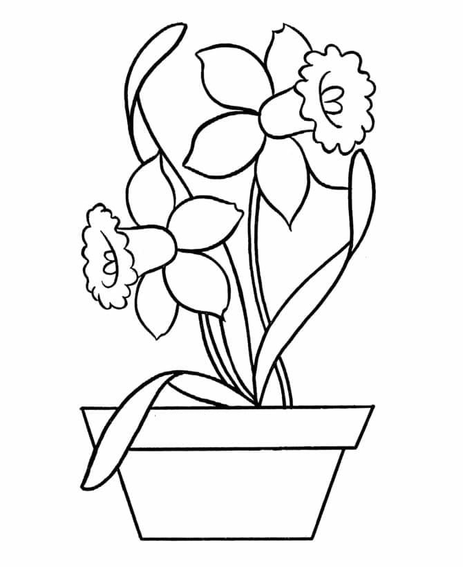 Free printable Flower Pot coloring page #221254 from Objects collection