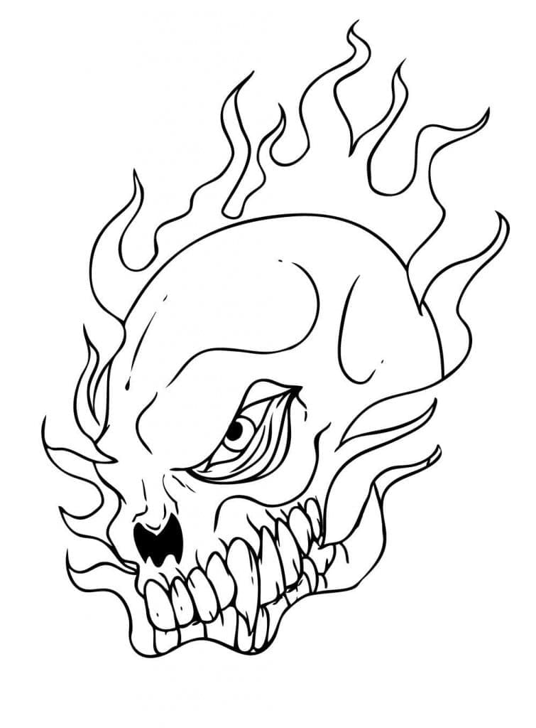 Free printable Skull coloring page #204902 from Objects collection