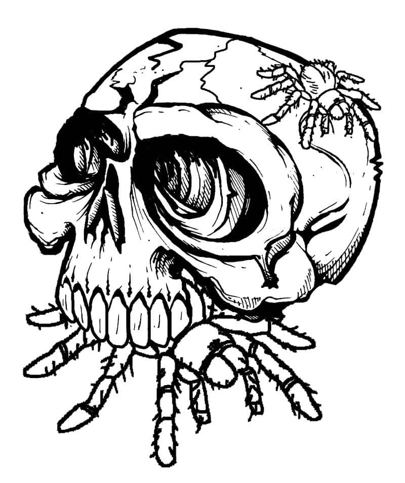 Free printable Skull coloring page #204903 from Objects collection