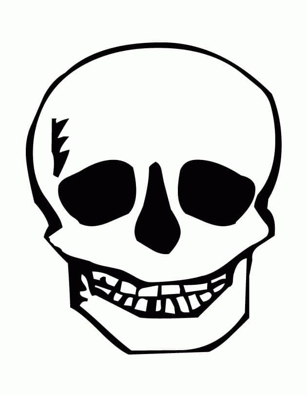 Free printable Skull coloring page #204917 from Objects collection