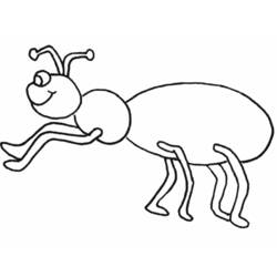 Ant (Animals) coloring page #6933 to print and color
