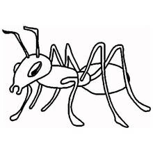Ant - Free printable coloring pages