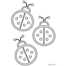 Bettle (Animals) coloring page #3442 to print and color