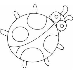 Bettle (Animals) coloring page #3549 to print and color