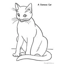Cat (Animals) coloring page #1775 to print and color