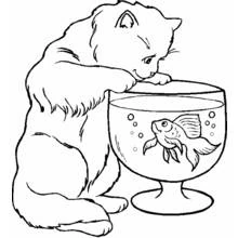 Cat (Animals) coloring page #1782 to print and color