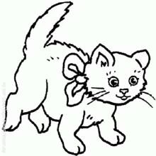 Cat (Animals) coloring page #1906 to print and color