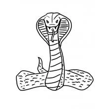Cobra - Free printable coloring pages
