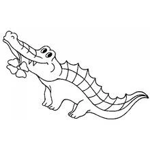 Crocodile (Animals) coloring page #4789 to print and color