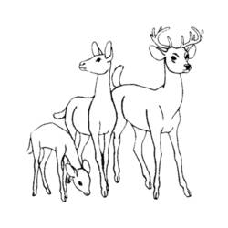 Deer (Animals) coloring page #2563 to print and color