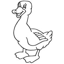 Duck - Free printable coloring pages