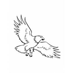 Eagle (Animals) coloring page #185155 to print and color