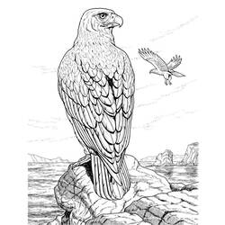 Eagle (Animals) coloring page #277 to print and color