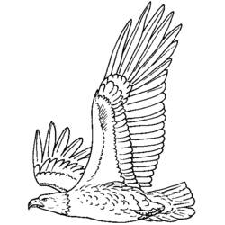Eagle (Animals) coloring page #280 to print and color
