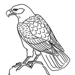 Eagle (Animals) coloring page #302 to print and color