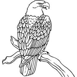 Eagle (Animals) coloring page #308 to print and color