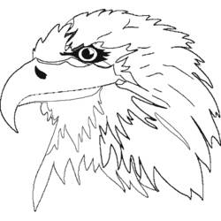 Eagle (Animals) coloring page #341 to print and color