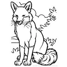 Fox (Animals) coloring page #14965 to print and color