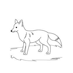 Fox (Animals) coloring page #14970 to print and color