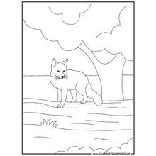 Fox (Animals) coloring page #15021 to print and color