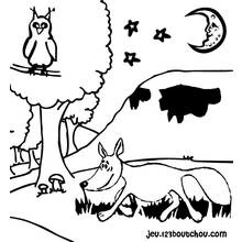 Fox (Animals) coloring page #15033 to print and color