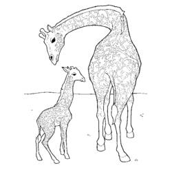 Giraffe (Animals) coloring page #7238 to print and color