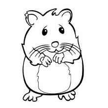 Hamster - Free printable coloring pages