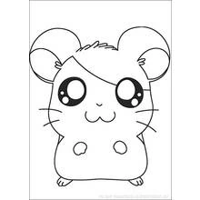 Hamster (Animals) coloring page #8020 to print and color