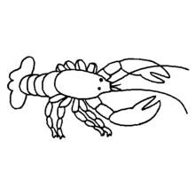 Lobster - Free printable coloring pages