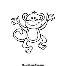 Monkey (Animals) coloring page #14167 to print and color