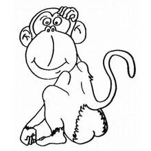 Monkey (Animals) coloring page #14251 to print and color