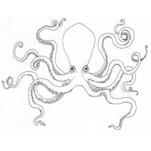 Octopus - Free printable coloring pages