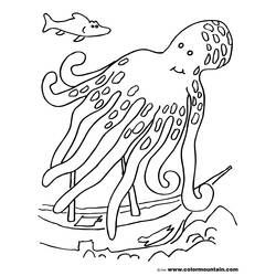 Octopus (Animals) coloring page #19087 to print and color