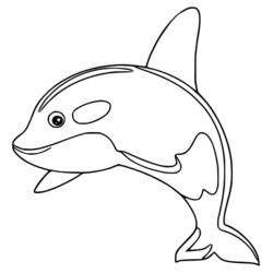 Orca - Free printable coloring pages