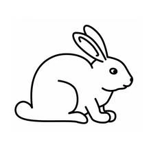 Rabbit - Free printable coloring pages