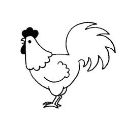 Rooster - Free printable coloring pages