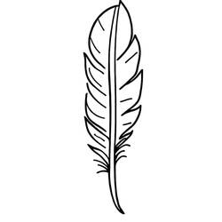 Feather (Objects) coloring page #212624 to print and color