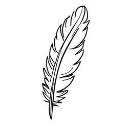Feather (Objects) coloring page #212635 to print and color