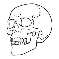 Skull (Objects) coloring page #204891 to print and color