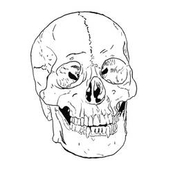 Skull (Objects) coloring page #204921 to print and color